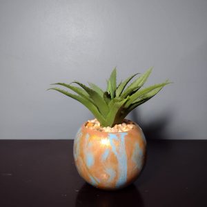 suculenta-dorada