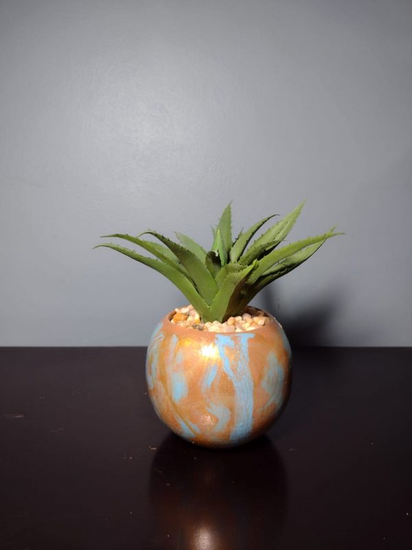 suculenta-dorada
